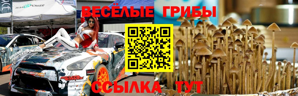 Галлюциногенные грибы ЛСД Верхняя Пышма