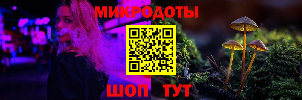 Верхняя Пышма  Галлюциногенные грибы Psilocybine cubensis  Вход с VPN 